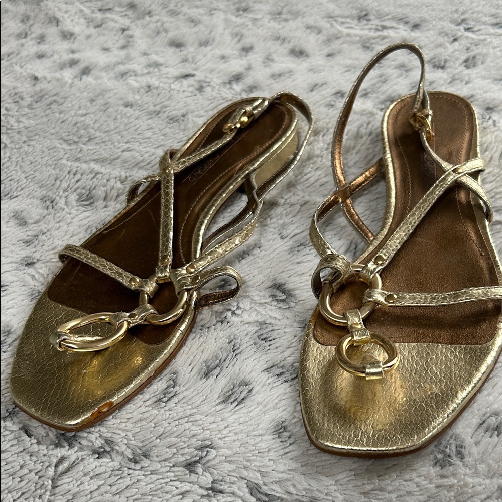 Elegant Gold Strappy Sandals